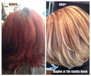 Olaplex Results... The Vanilla Room 1